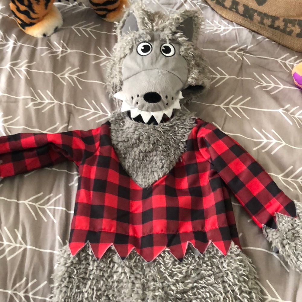 Halloween costume big bad wolf